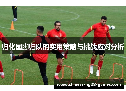 归化国脚归队的实用策略与挑战应对分析 归化国脚归队的实用策略与挑战应对分析